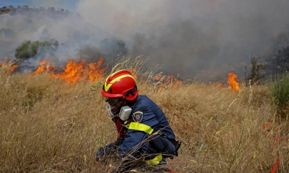 Φωτιά τώρα στην Παλλήνη - Μεγάλη επιχείρηση επίγειων δυνάμεων (βίντεο - upd)